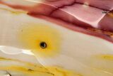 Colorful, Polished Mookaite Jasper Slab - Australia #239659-1